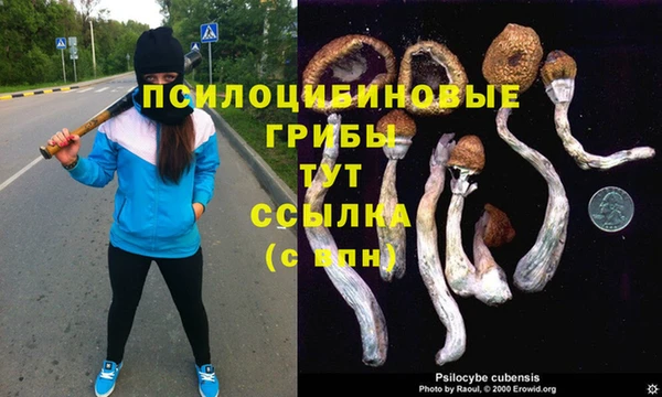 амф Алексин