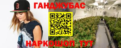ECSTASY Шелехов