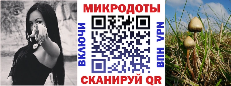 Псилоцибиновые грибы ЛСД  Череповец 