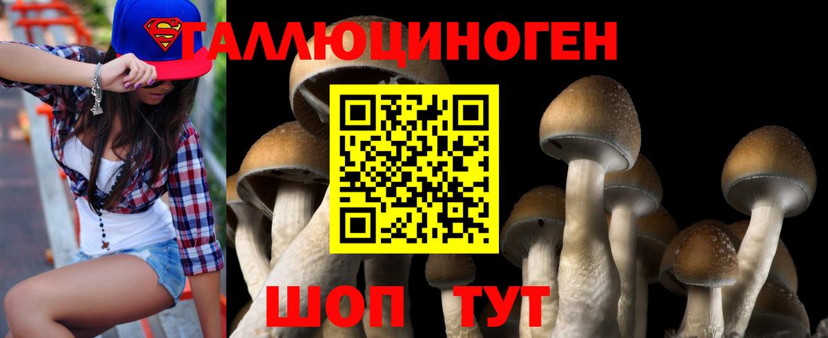 Псилоцибиновые грибы мухоморы Череповец